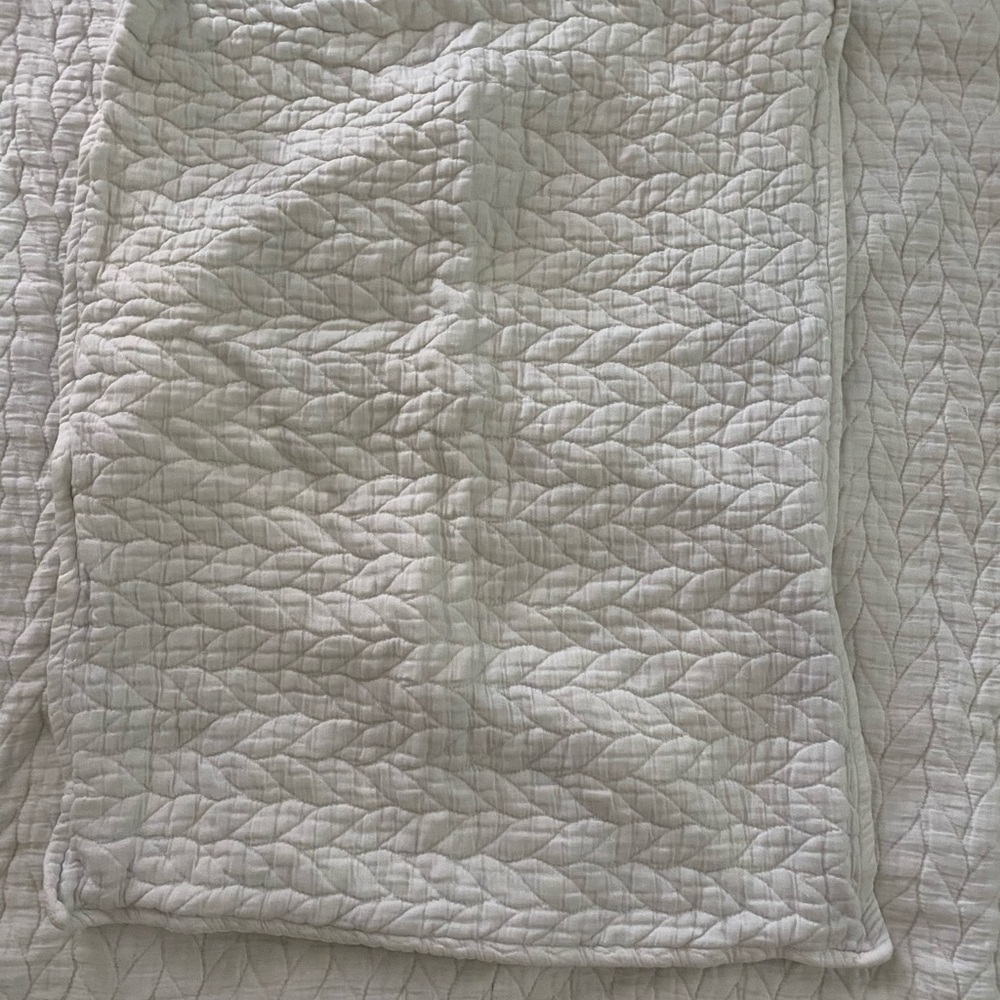 West Elm organic cotton full queen duvet/shams